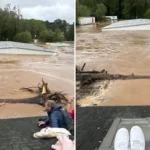 Heartbreaking Final Photo Captures NC Grandparents and Their Grandson Trapped on Roof Before Floodwaters Swept Them Away