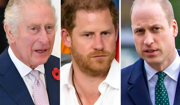 King Charles Makes Heartbreaking Choice for Prince William—You Won’t Believe What He Had to Do!