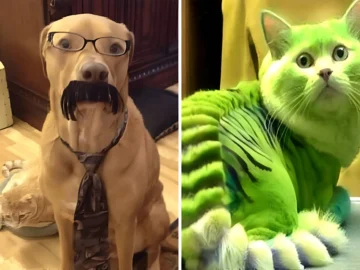 30+ Hilarious Photos That Are A Must-See For Any Animal Lover