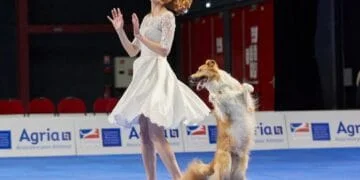 Border Collie and Girl Steal the Spotlight at Dog Dancing World Championship. A Performance You Can't Miss!
