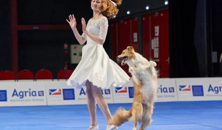 Border Collie and Girl Steal the Spotlight at Dog Dancing World Championship. A Performance You Can’t Miss!