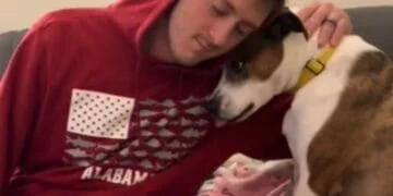 Tears Over Pet Grieving Family's Dog That Passed Suddenly 'Struggling'
