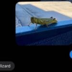 The Difference Between Men And Women Is Clear In These Funny Conversations