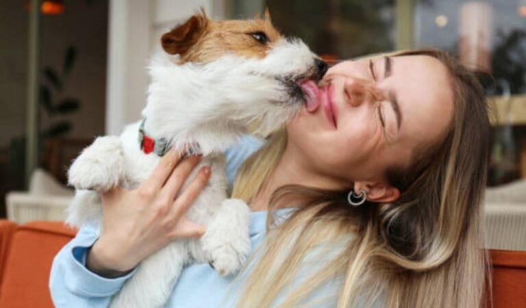 20 Interesting Pet Facts You May Not Have Known! 20 Interesting Pet Facts You May Not Have Known!